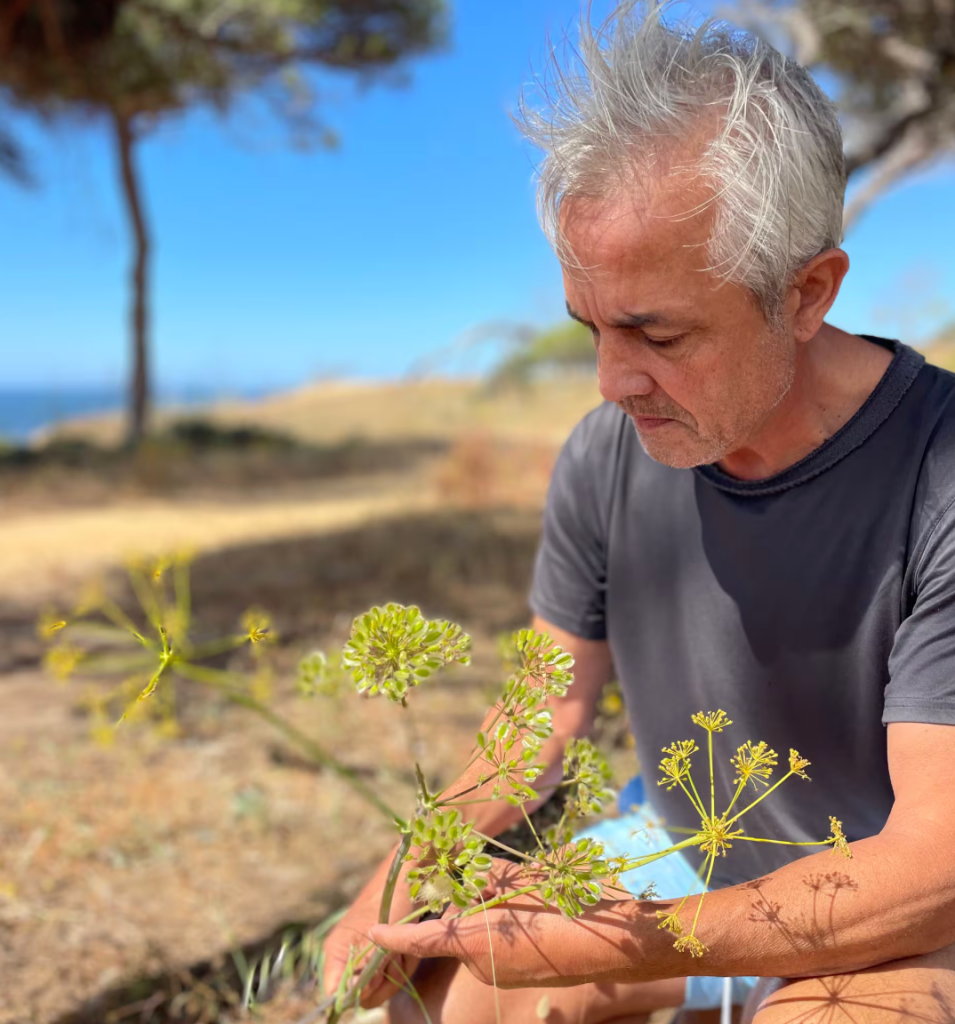 jorge-foraging